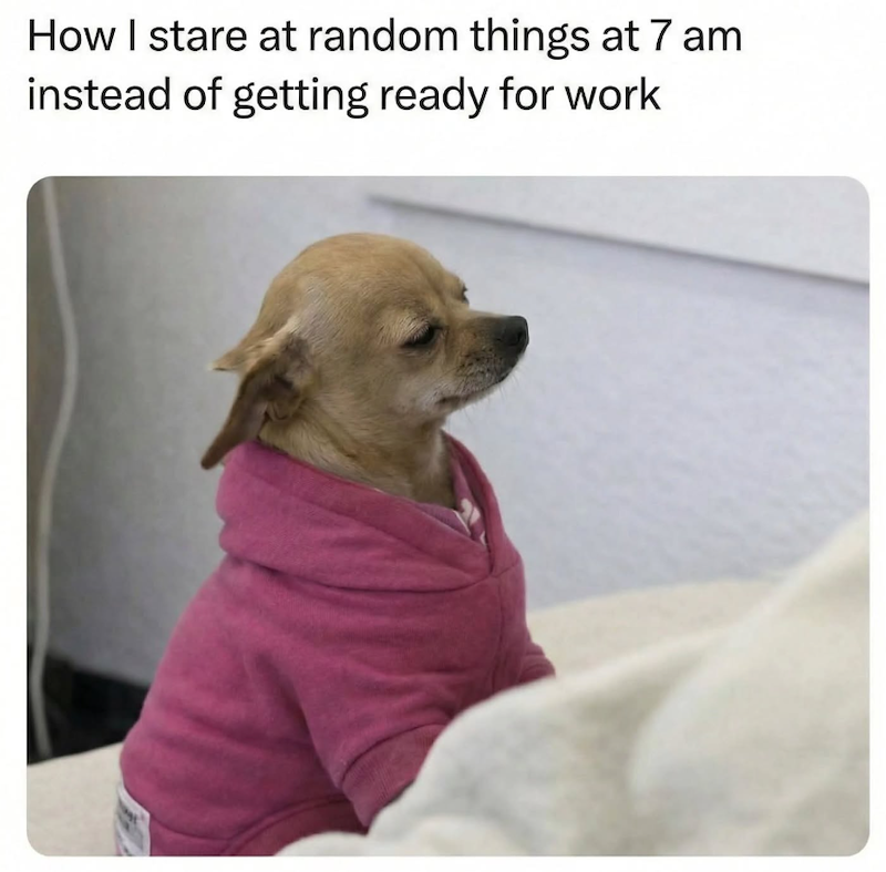 How I stare at random things at 7 am instead of getting ready for work