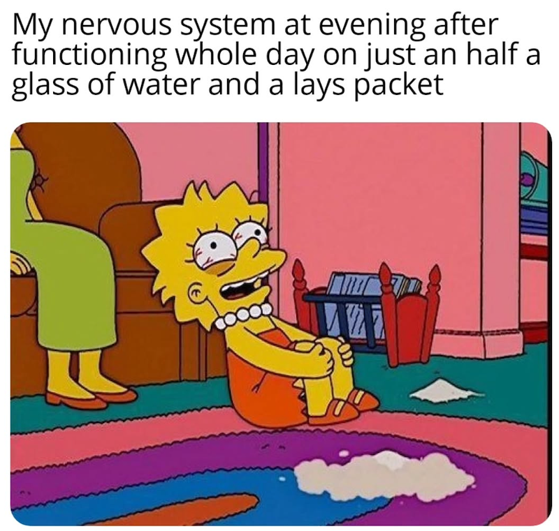 My nervous system at evening after functioning whole day on just an half a glass of water and a lays packet