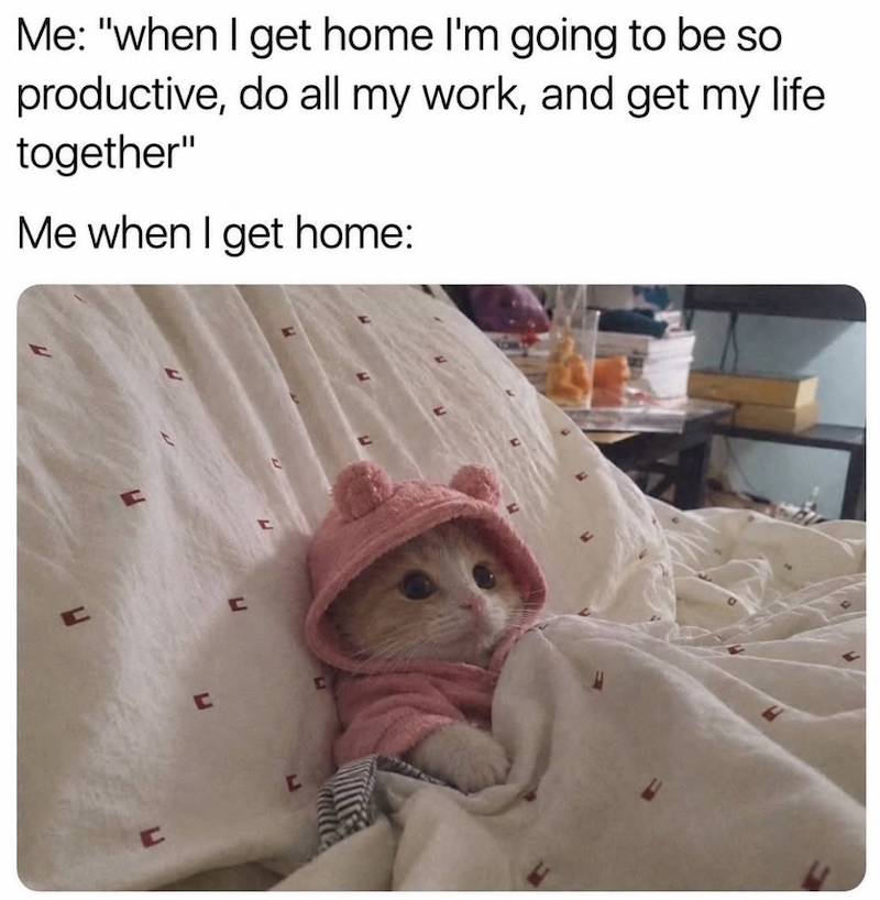 Me: "when I get home I'm going to be so productive, do all my work, and get my life. together" Me when I get home: C C C C