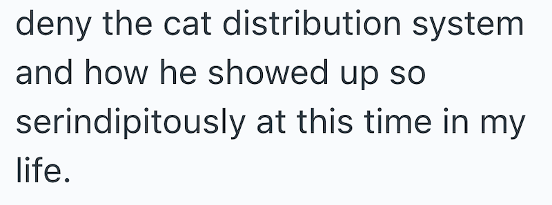 deny the cat distribution system and how he showed up so serindipitously at this time in my life.