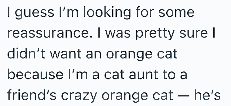 I guess I'm looking for some reassurance. I was pretty sure I didn't want an orange cat because I'm a cat aunt to a friend's crazy orange cat - he's