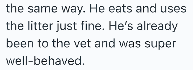 the same way. He eats and uses the litter just fine. He's already been to the vet and was super well-behaved.
