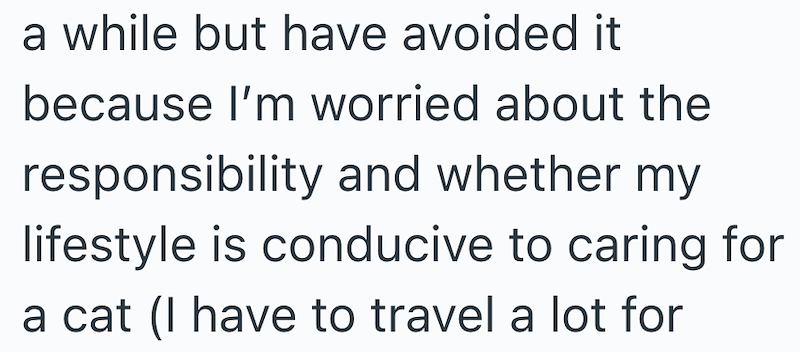 a while but have avoided it because I'm worried about the responsibility and whether my lifestyle is conducive to caring for a cat (I have to travel a lot for