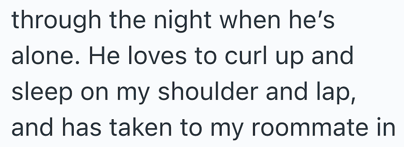 through the night when he's alone. He loves to curl up and sleep on my shoulder and lap, and has taken to my roommate in