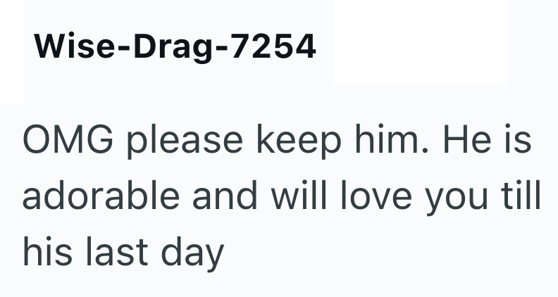 Wise-Drag-7254 OMG please keep him. He is adorable and will love you till his last day