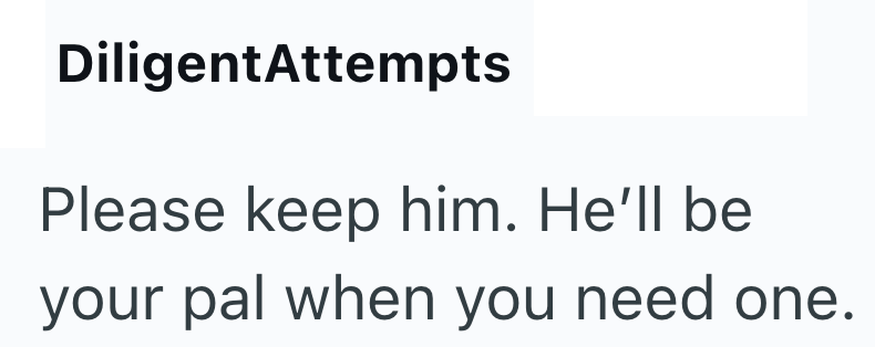 DiligentAttempts Please keep him. He'll be your pal when you need one.