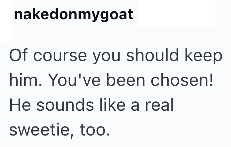 nakedonmygoat Of course you should keep him. You've been chosen! He sounds like a real sweetie, too.