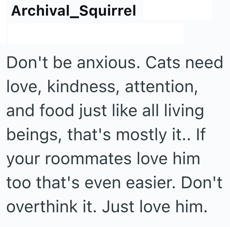 Archival Squirrel Don't be anxious. Cats need love, kindness, attention, and food just like all living beings, that's mostly it.. If your roommates love him too that's even easier. Don't overthink it. Just love him.