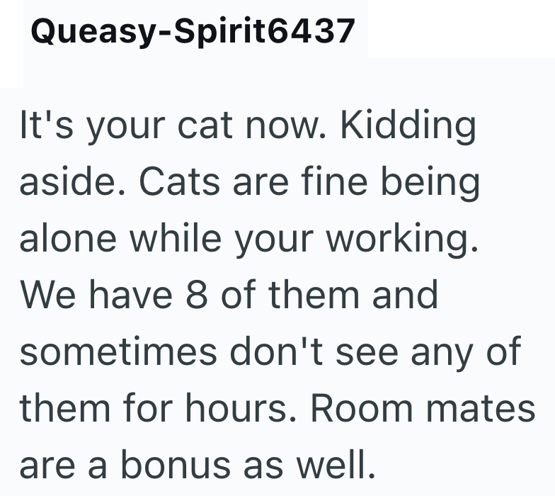Queasy-Spirit6437 It's your cat now. Kidding aside. Cats are fine being alone while your working. We have 8 of them and sometimes don't see any of them for hours. Room mates are a bonus as well.