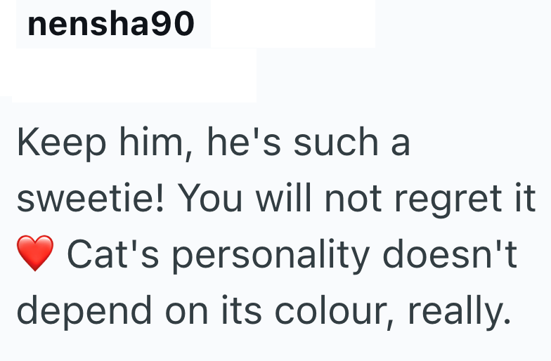 nensha90 Keep him, he's such a sweetie! You will not regret it Cat's personality doesn't depend on its colour, really.