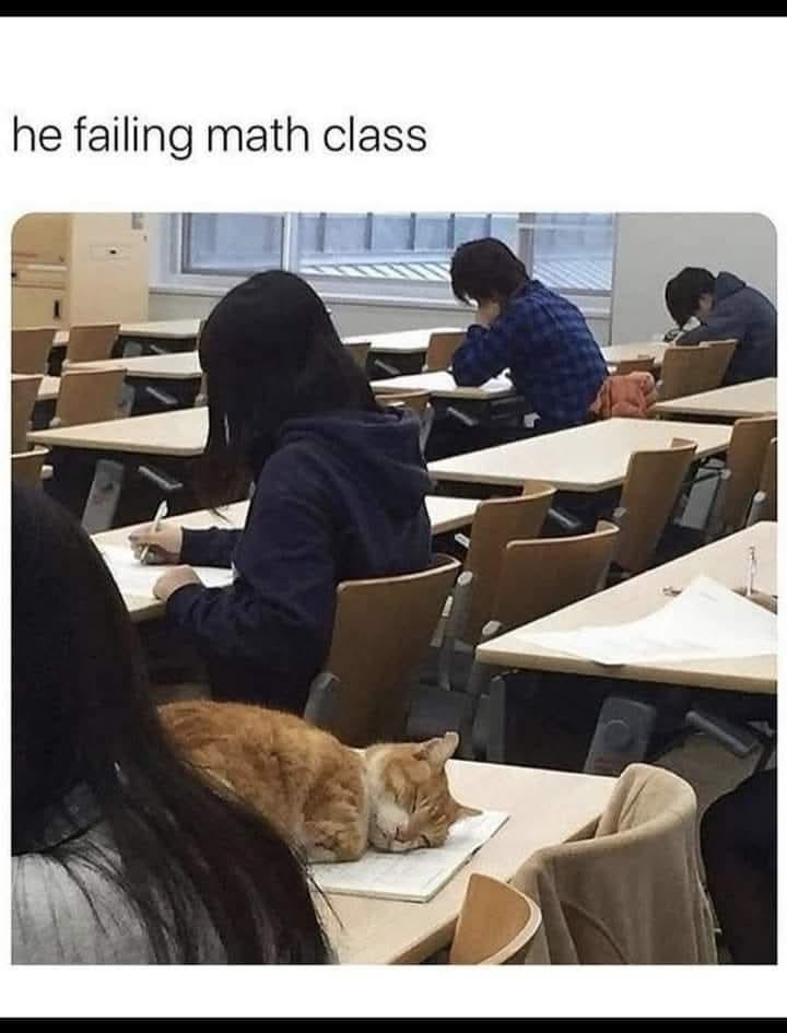 he failing math class