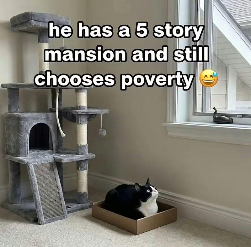 he has a 5 story mansion and still chooses poverty