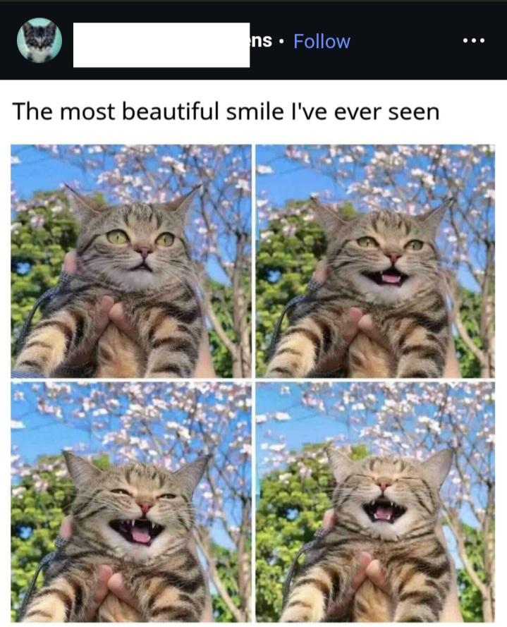 ns. Follow The most beautiful smile I've ever seen