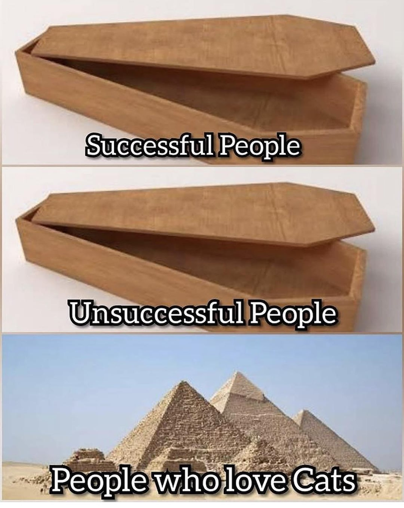 Successful People Unsuccessful People People who love Cats