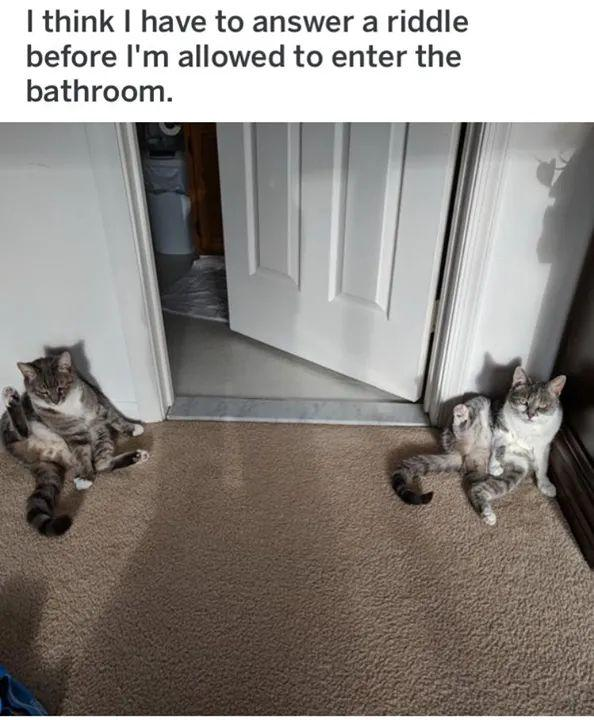 I think I have to answer a riddle before I'm allowed to enter the bathroom.