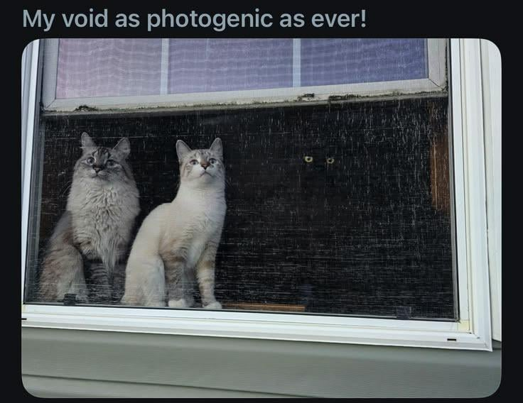 My void as photogenic as ever!