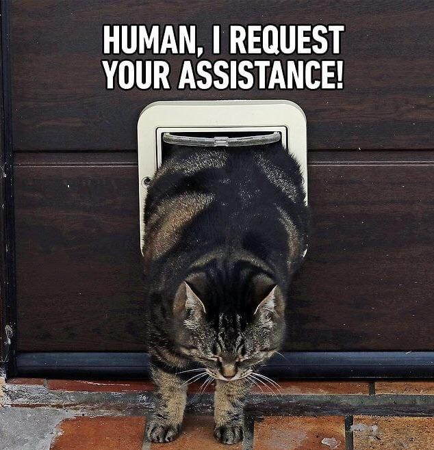 HUMAN, I REQUEST YOUR ASSISTANCE!