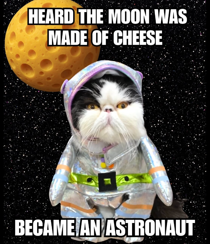 HEARD THE MOON WAS MADE OF CHEESE BECAME AN ASTRONAUT