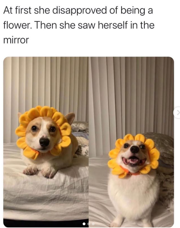 At first she disapproved of being a flower. Then she saw herself in the mirror