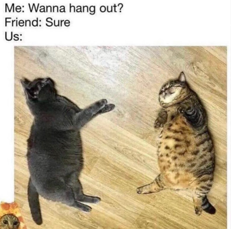 Me: Wanna hang out? Friend: Sure Us: