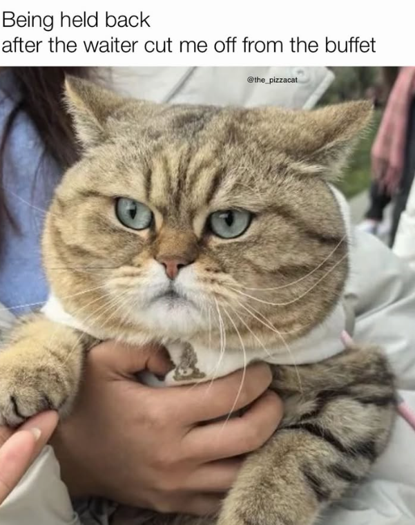 Being held back after the waiter cut me off from the buffet @the_pizzacat