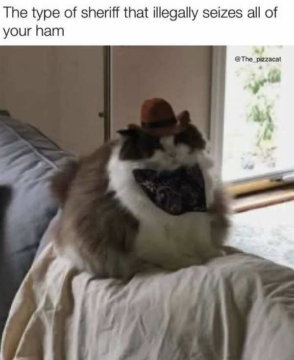 The type of sheriff that illegally seizes all of your ham @The_pizzacat
