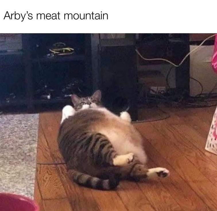 Arby's meat mountain