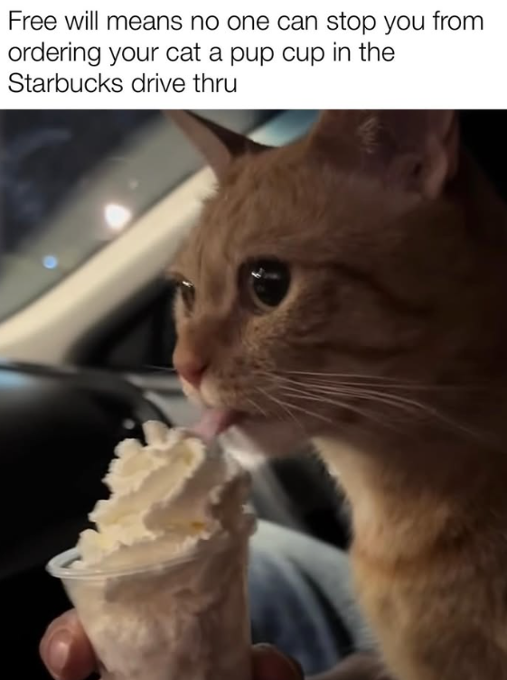 Free will means no one can stop you from ordering your cat a pup cup in the Starbucks drive thru