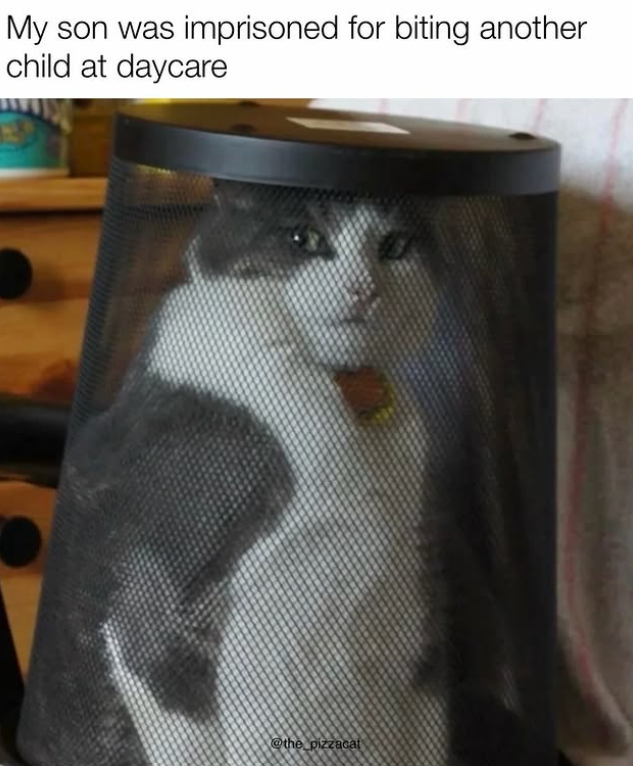 My son was imprisoned for biting another child at daycare @the pizzacat