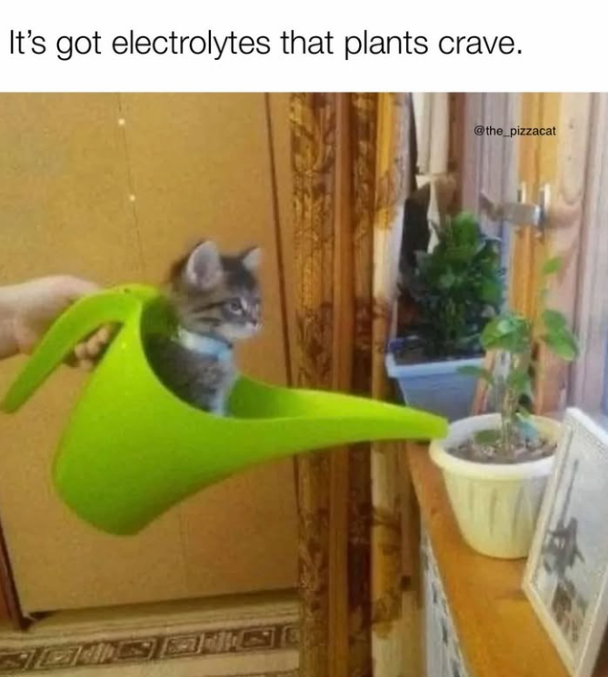 It's got electrolytes that plants crave. @the_pizzacat