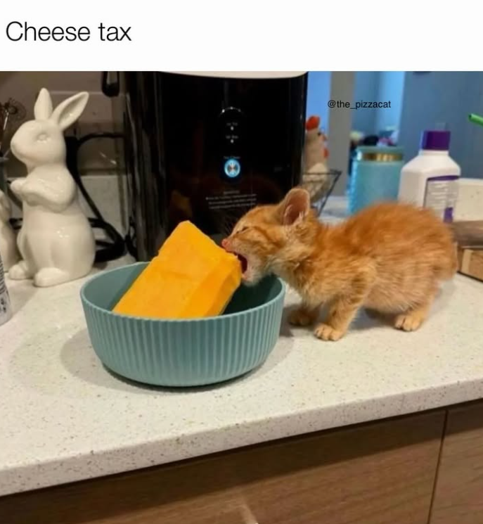Cheese tax @the_pizzacat