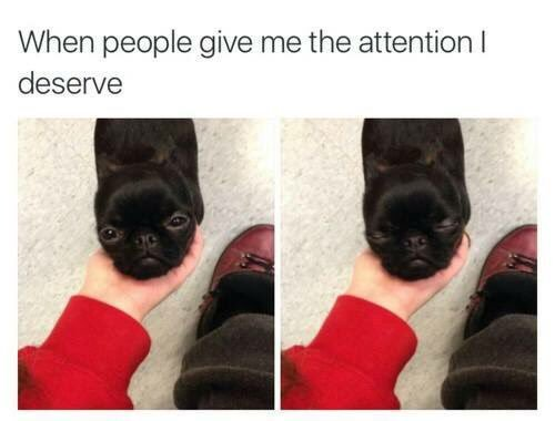 When people give me the attention I deserve