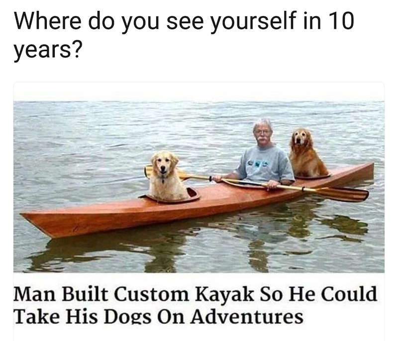 Where do you see yourself in 10 years? Man Built Custom Kayak So He Could Take His Dogs On Adventures