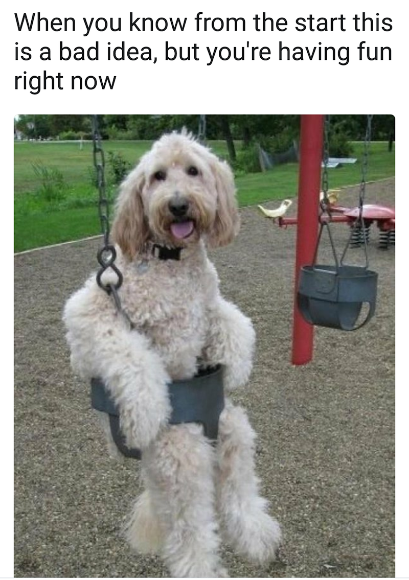 When you know from the start this is a bad idea, but you're having fun right now