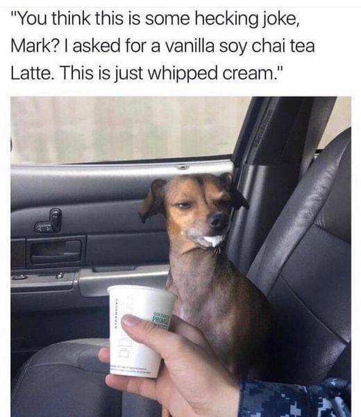 "You think this is some hecking joke, Mark? I asked for a vanilla soy chai tea Latte. This is just whipped cream." DO PROM