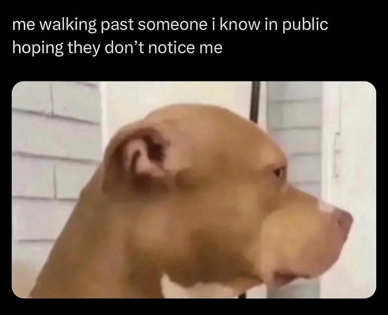 me walking past someone i know in public hoping they don't notice me