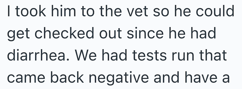 I took him to the vet so he could get checked out since he had diarrhea. We had tests run that came back negative and have a
