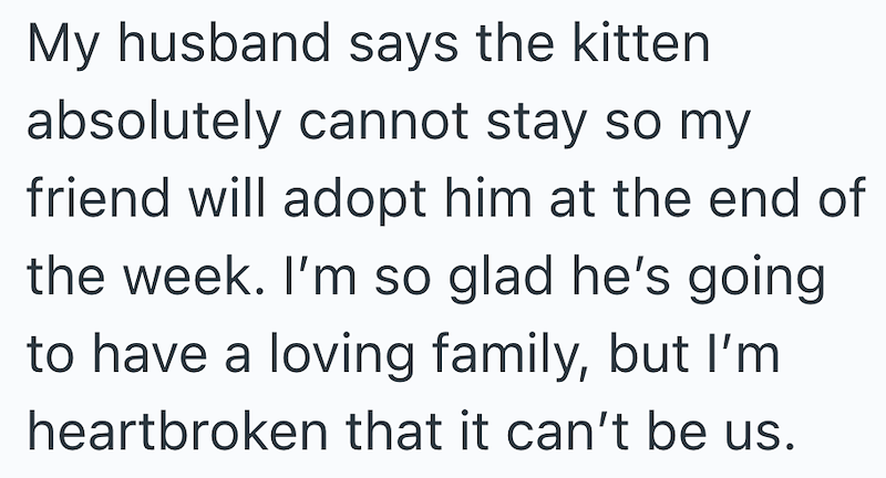 My husband says the kitten absolutely cannot stay so my friend will adopt him at the end of the week. I'm so glad he's going to have a loving family, but I'm heartbroken that it can't be us.