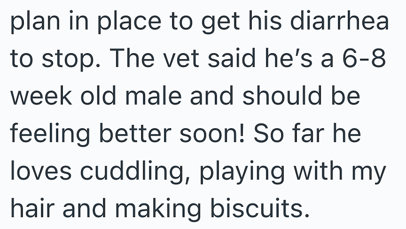 plan in place to get his diarrhea to stop. The vet said he's a 6-8 week old male and should be feeling better soon! So far he loves cuddling, playing with my hair and making biscuits.