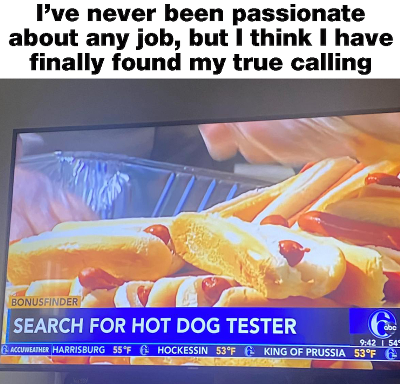 I've never been passionate about any job, but I think I have finally found my true calling BONUSFINDER SEARCH FOR HOT DOG TESTER Co 9:42 54° ACCUWEATHER HARRISBURG 55°F HOCKESSIN 53°F KING OF PRUSSIA 53°F