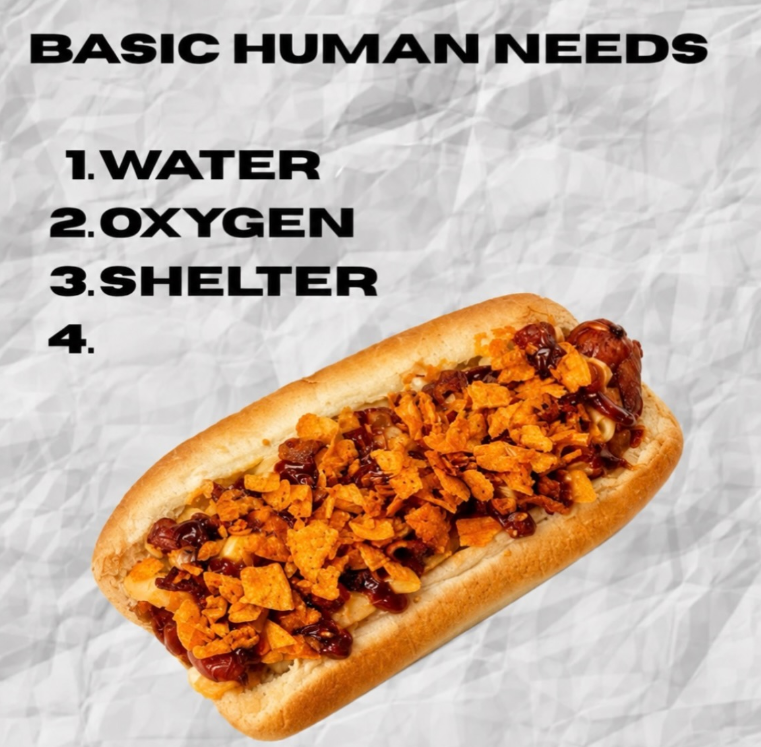 BASIC HUMAN NEEDS 1.WATER 2.OXYGEN 3.SHELTER 4.