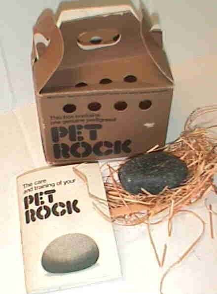 The care PET ROCK and training of your PET ROCK