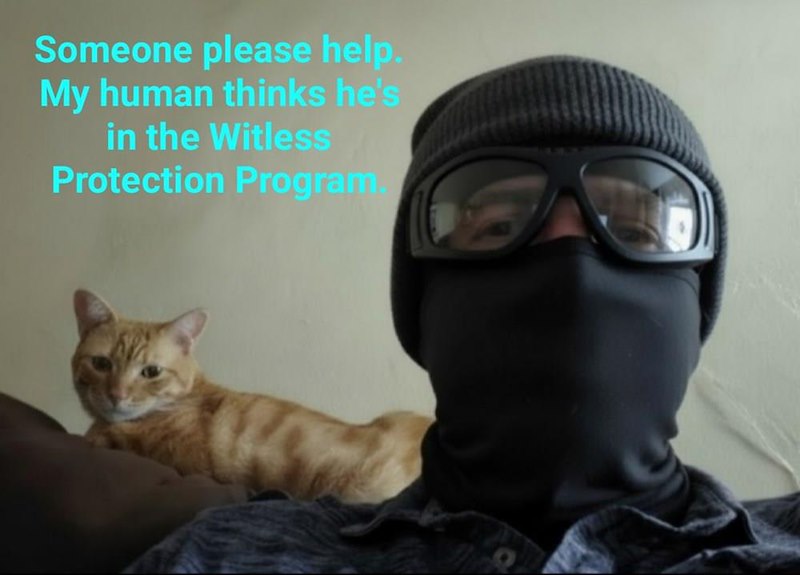 Someone please help. My human thinks he's in the Witless Protection Program