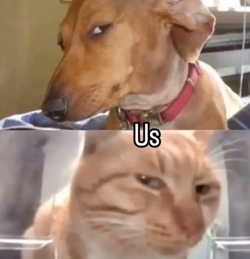 Us