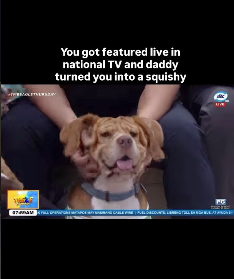 #TMBEAGLETHURSDAY You got featured live in national TV and daddy turned you into a squishy IBC LIVE HD PG PARENTAL DUCANCE PATNUBAY AT GAY 07:59AM FULL OPERATIONS MATAPOS MAY MASIRANG CABLE WIRE | FUEL DISCOUNTS, LIBRENG TOLL SA MGA BUS. AT AYUDA SO