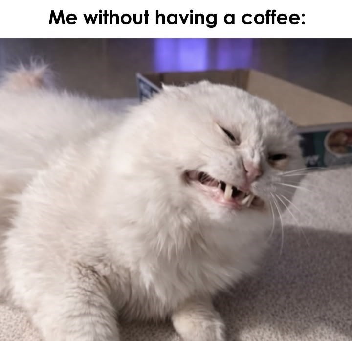 Me without having a coffee: