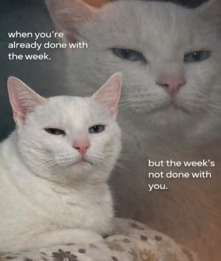 when you're already done with the week. but the week's not done with you.