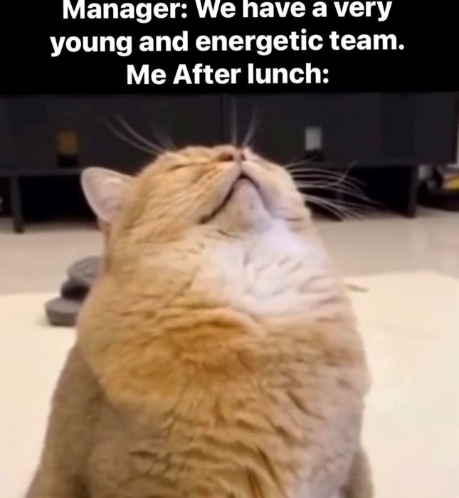 Manager: We have a very young and energetic team. Me After lunch: