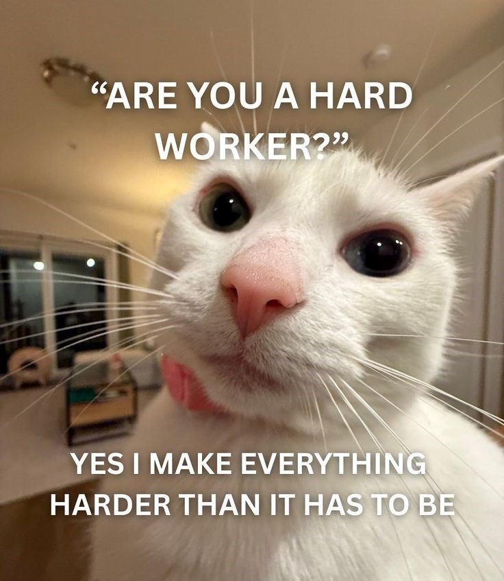 "ARE YOU A HARD WORKER?" YES I MAKE EVERYTHING HARDER THAN IT HAS TO BE