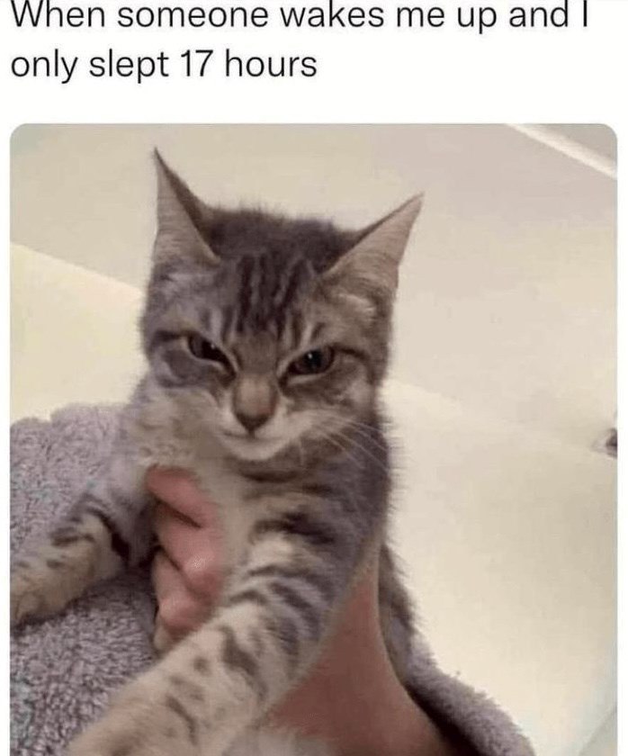 When someone wakes me up and I only slept 17 hours